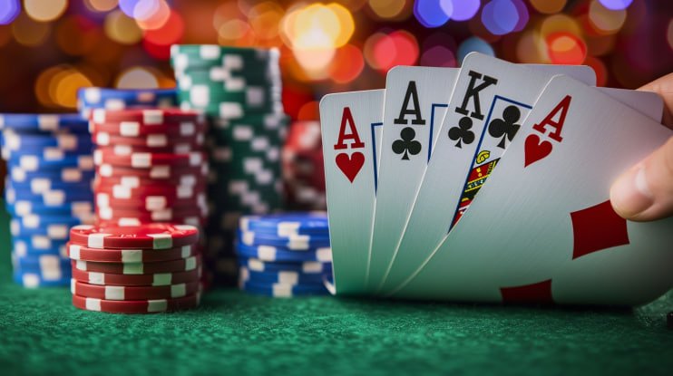 musang togel live casino dealer studios and sports betting dashboard